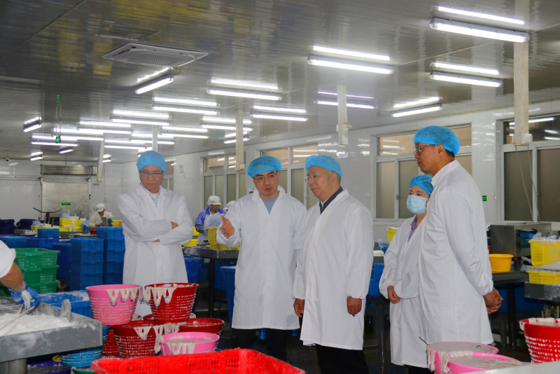 1711683005327844pWrO.jpg 22.jpg